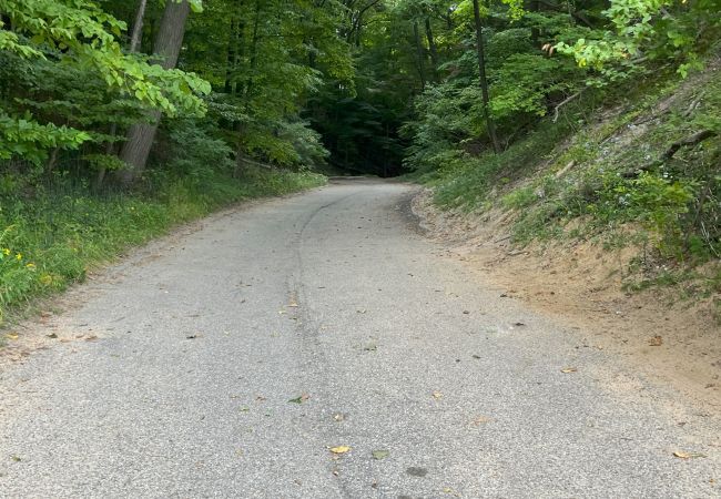 House in South Haven - Welcome to Camp Lilly House in South Haven - Welcome to Camp Lilly